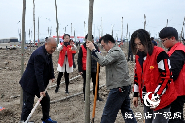 正陽縣開展秋冬添新綠義務植樹活動