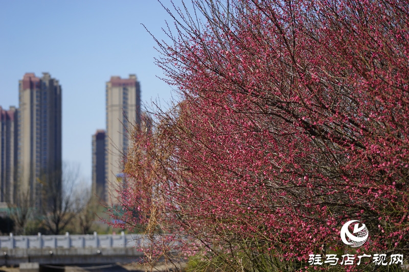 再次與自己約定，閉門不出