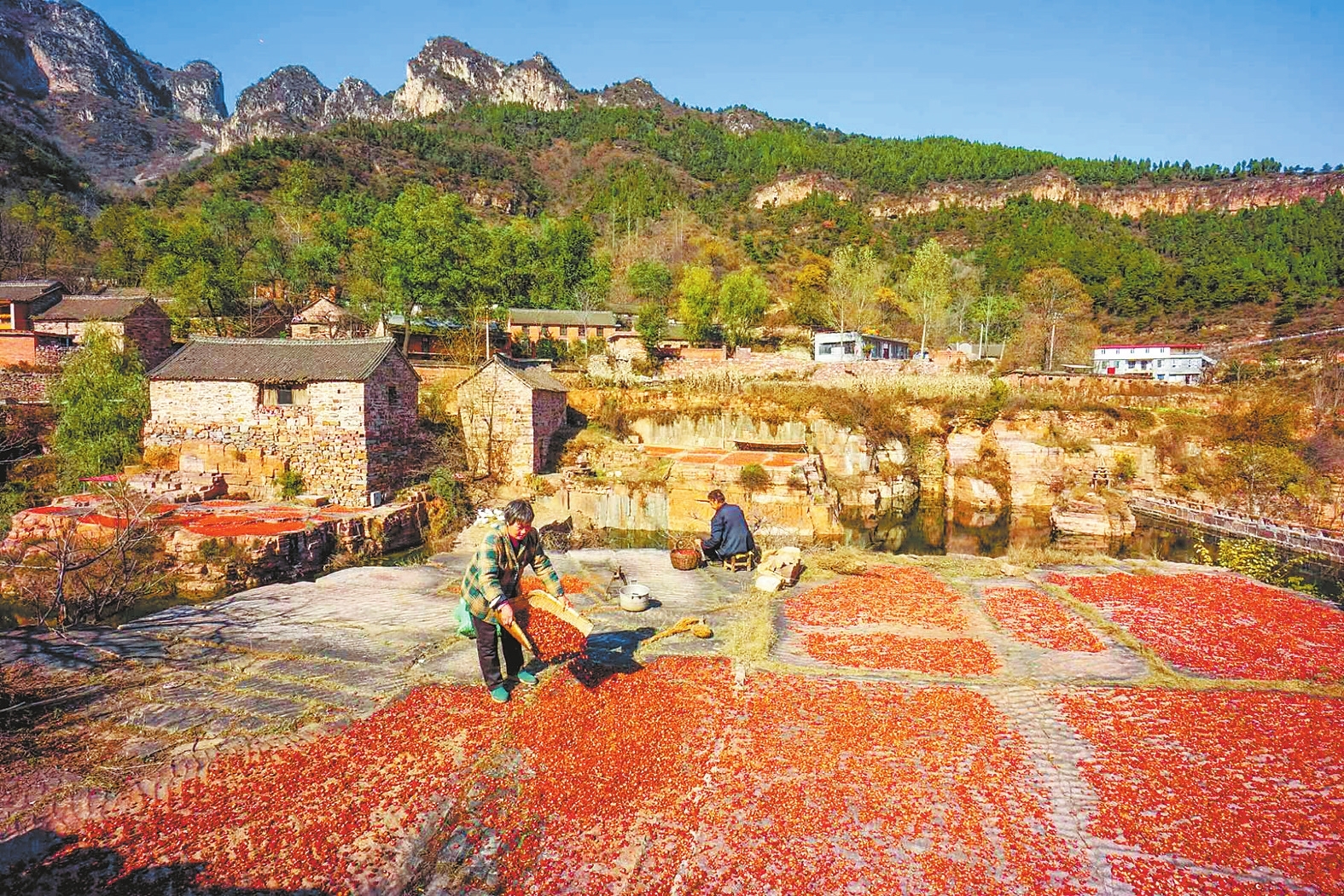 又見(jiàn)太行山里紅