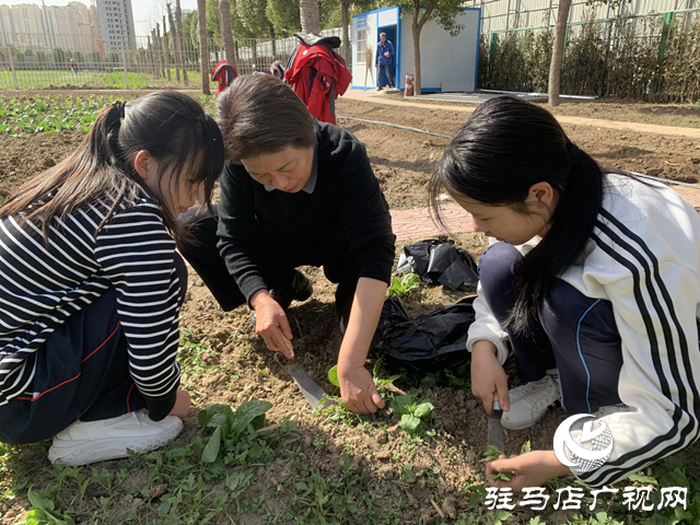 駐馬店市實驗中學(xué)師生：走進自然 感受勞動之美