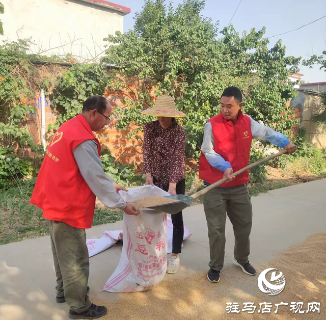 驛城區(qū)水屯鎮(zhèn)：麥田閃耀志愿紅 助力“三夏”解民憂