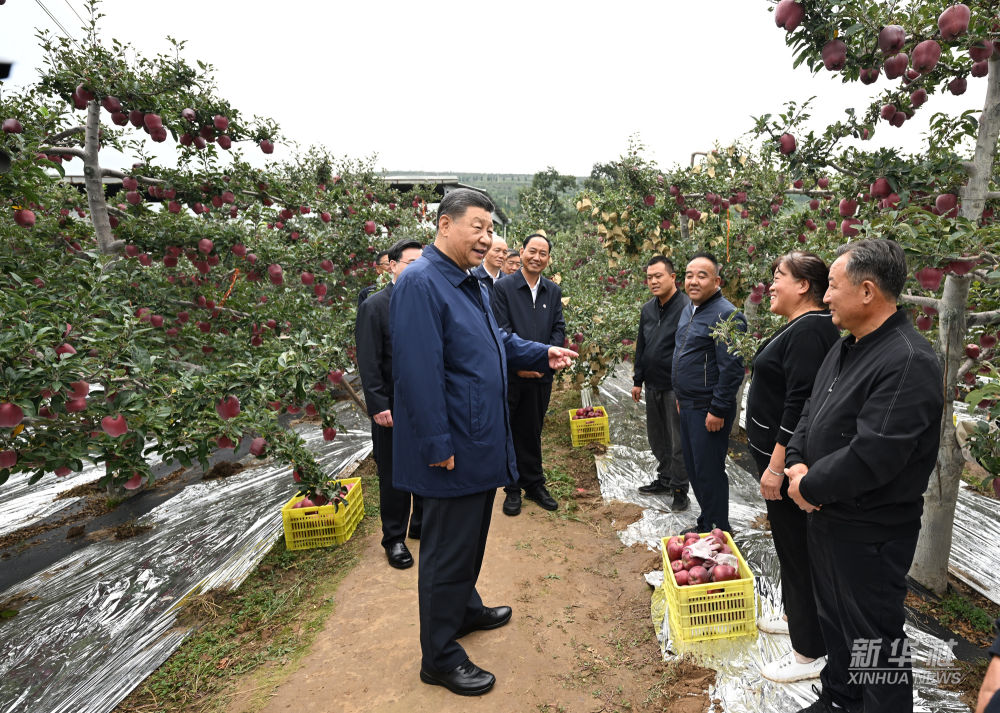 習(xí)近平在陜西寶雞市和甘肅天水市考察調(diào)研