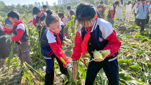 體驗(yàn)豐收快樂 收獲成長(zhǎng)果實(shí)