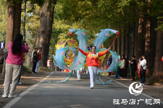 泌陽縣開展“文藝進萬家”進鄉(xiāng)村 進景區(qū)惠民展演活動