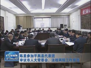 陳星參加平輿代表團審議市人大常委會、法檢兩院工作報